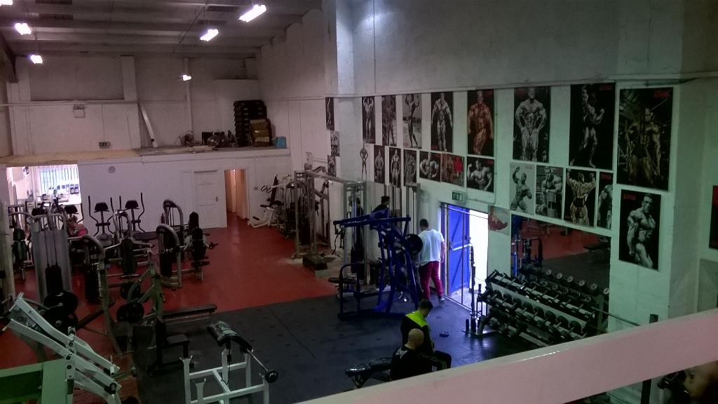 Alex_MacKay13's tweet photo. Final session in Ireland this morning, 10 weeks to make it happen #TrueStrength http://t.co/pVODR198vB