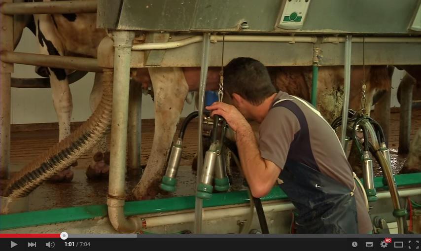 ganaderoespacio's tweet photo. Vídeo: Rentabilidad en las explotaciones de vacuno de #leche http://t.co/tsJoVcQ2u7… http://t.co/V5kQb7Zjao #ganadería #innovación