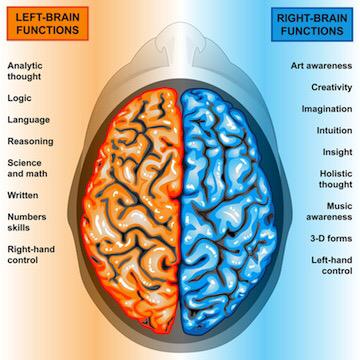 acegco's tweet photo. @acegco: Answer this: 'Why music in schools?' or 'Why use both sides of your brain?' http://t.co/ZCNjwKvFQH