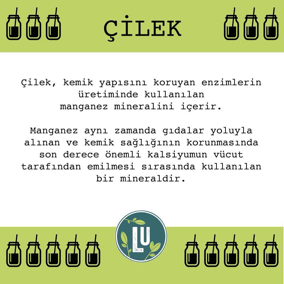 Çileğin faydalarını biliyor muydunuz? 🍃💚 #levelupdrinks #smoothie #healthyliving