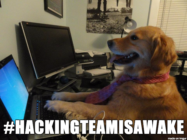 SynAckPwn's tweet photo. As seen in .bash_history
hping
yum install hping
yum install hping3
yum install hping2
#HackingTeamIsAwake http://t.co/wQwNa6ME98