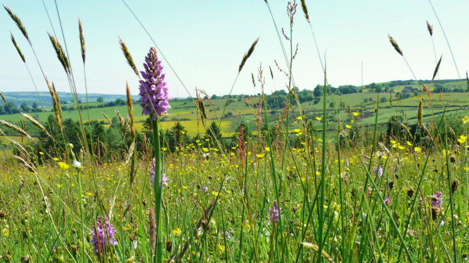 NE_Northumbria tweet picture