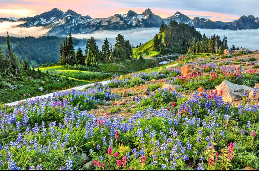 dharammegha's tweet photo. Shanti is Inner #Peace
A State of Mental/Physical/Spiritual Bliss
That leads to Serenity & Calmness
#ClearPerception. http://t.co/j6xr0Nq8Yd