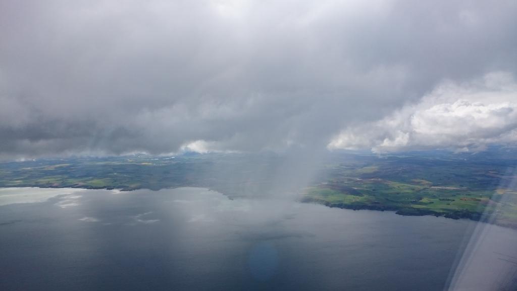 flyingdavidt's tweet image. 