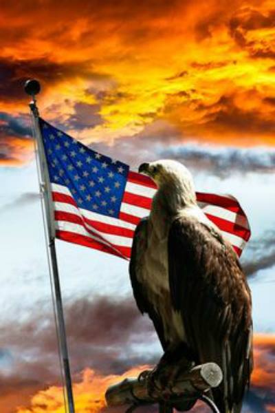 pattibader's tweet photo. I Pledge Allegiance to the flag,,,,, @BostonMaggie @teapartytown #HonorDutySupport http://t.co/w5Ssry662f
