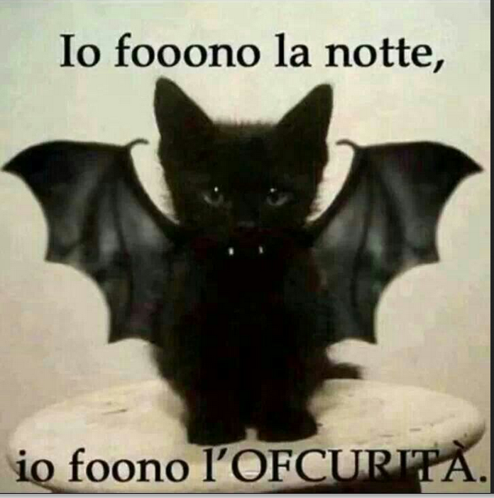 Free Palestine From The River To The Sea Sur Twitter Hackingteamtransparencyreport Italian Cat Meme Found In Folder Romeo Http T Co Hvf6le9oq1 Twitter