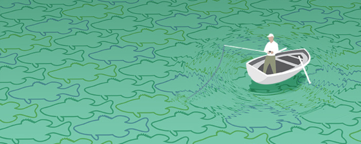 confedmo's tweet photo. Land more #fish by using a fishing pattern - http://t.co/t6ndW1tOPP @AnglesandLines http://t.co/TOAoaGEsCQ
