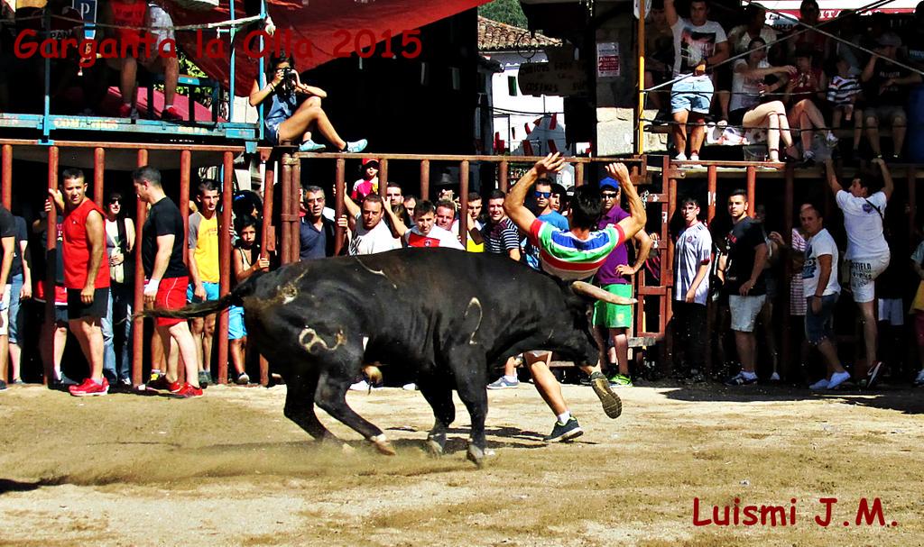 No me pilló en buen ángulo pero aqui dejo esta foto de un corte ajustadisimo de <a href="/luisjuanela1/">luis juanela</a>.