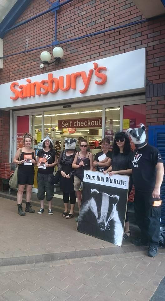 AmeleaTeckel's tweet photo. Sainsbury's bland statement supporting #badgercull🔫industry won't win it Retailer of the Year Award if u 💙#wildlife
https://t.co/sxzxdoa6BU