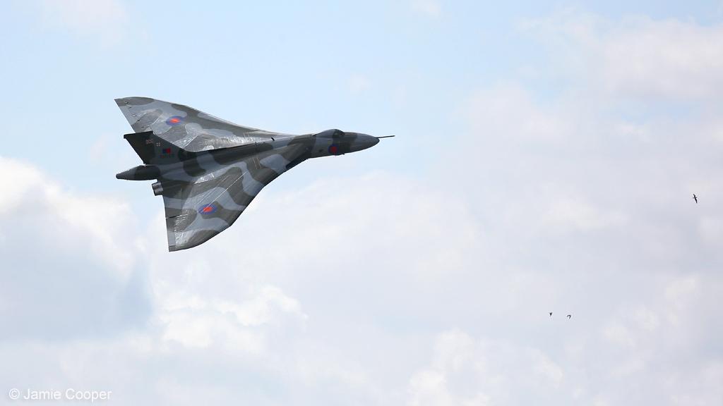 CoopsCamera's tweet image. This rare old bird will soon be grounded