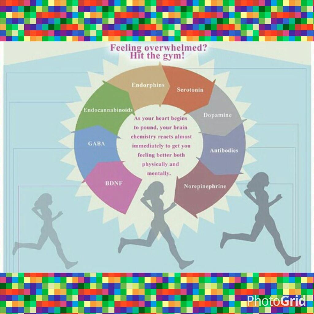 IndoSportsMedCentre tweet media