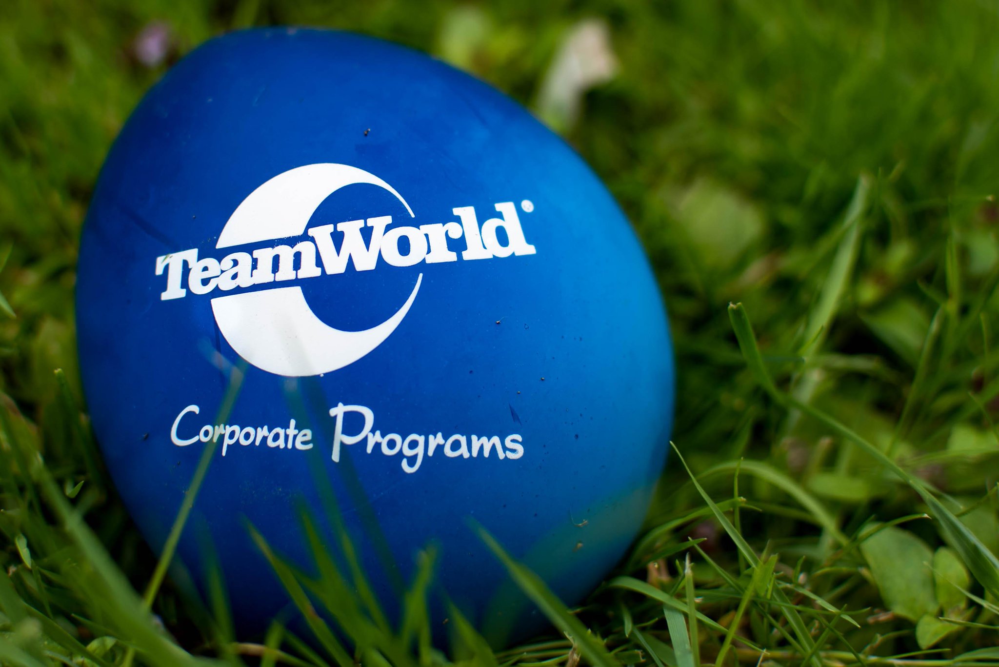 TeamWorld, Inc. on Twitter "The TeamWorld Team celebrated