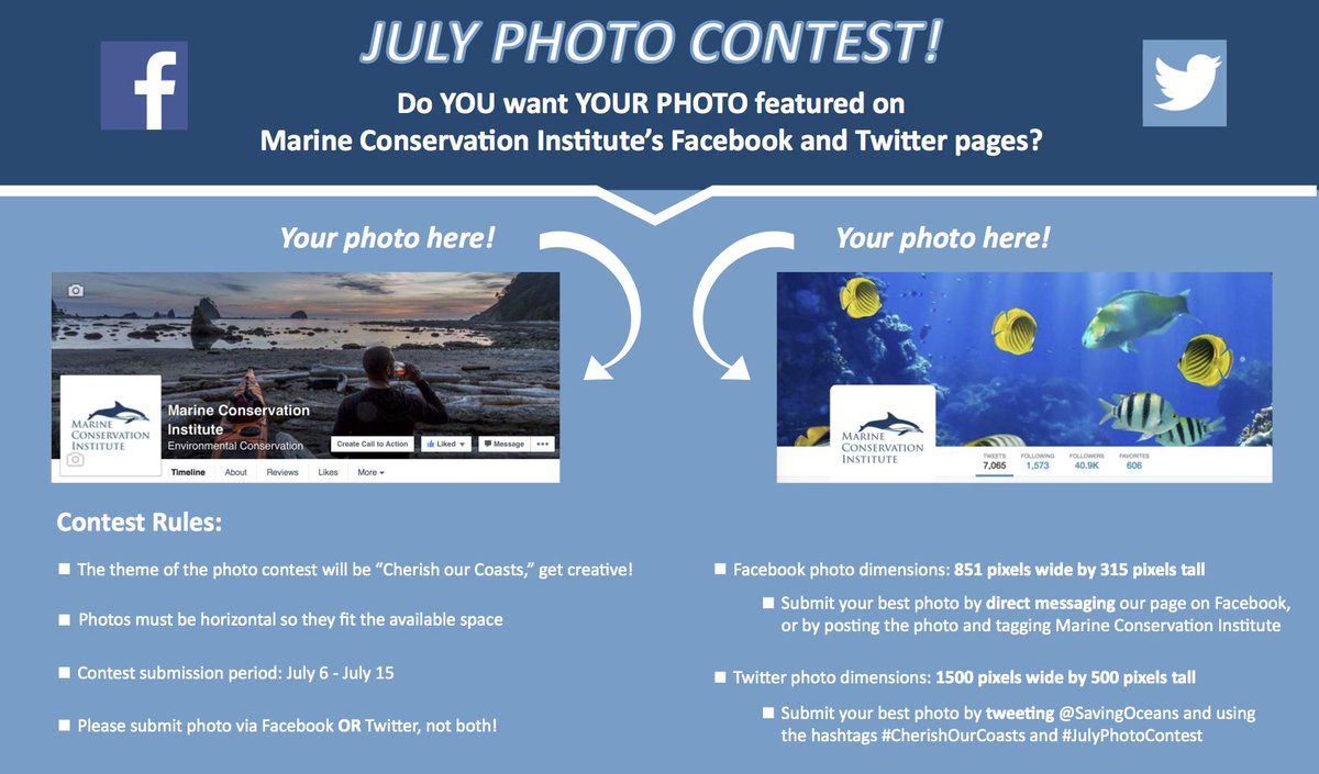 savingoceans's tweet photo. Our #JulyPhotoContest begins... Now! Details below; have fun! #CherishOurCoasts http://t.co/fyGBQpcv93