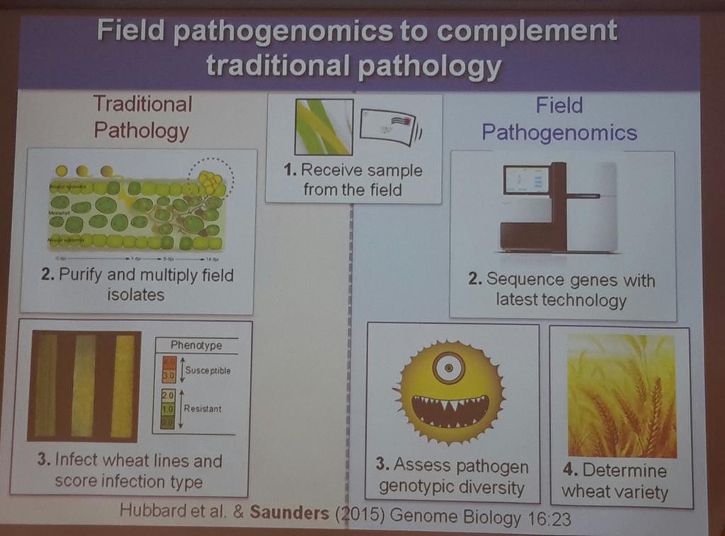 WheatSingh's tweet image. New tools of #Pathogenomics to identify #Cereal #invaders in #UK #striperust Populations @globalrust #ICRPMC2015