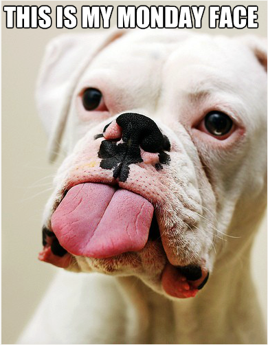 CaseyVanWinkle's tweet photo. #FCM Happy Monday!! http://t.co/JAZHPLIWXk