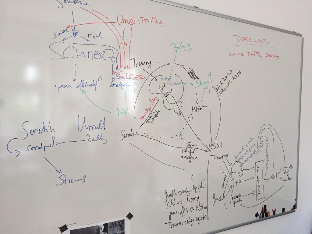 PPlener's tweet photo. Still working on the neurobiological Model of NSSI #NSSI #ISSS http://t.co/Rs7N34geMb