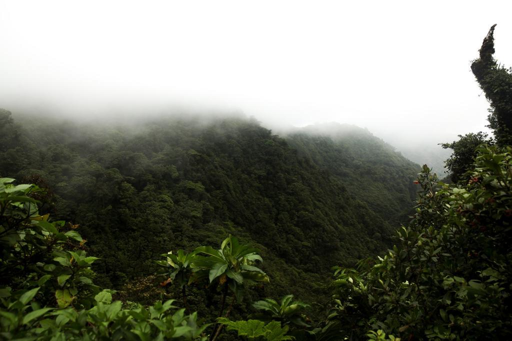 cosmical's tweet photo. Lush http://t.co/nK2V7u7I86