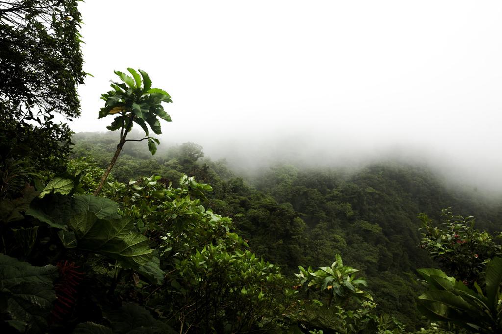 cosmical's tweet photo. Lush http://t.co/nK2V7u7I86