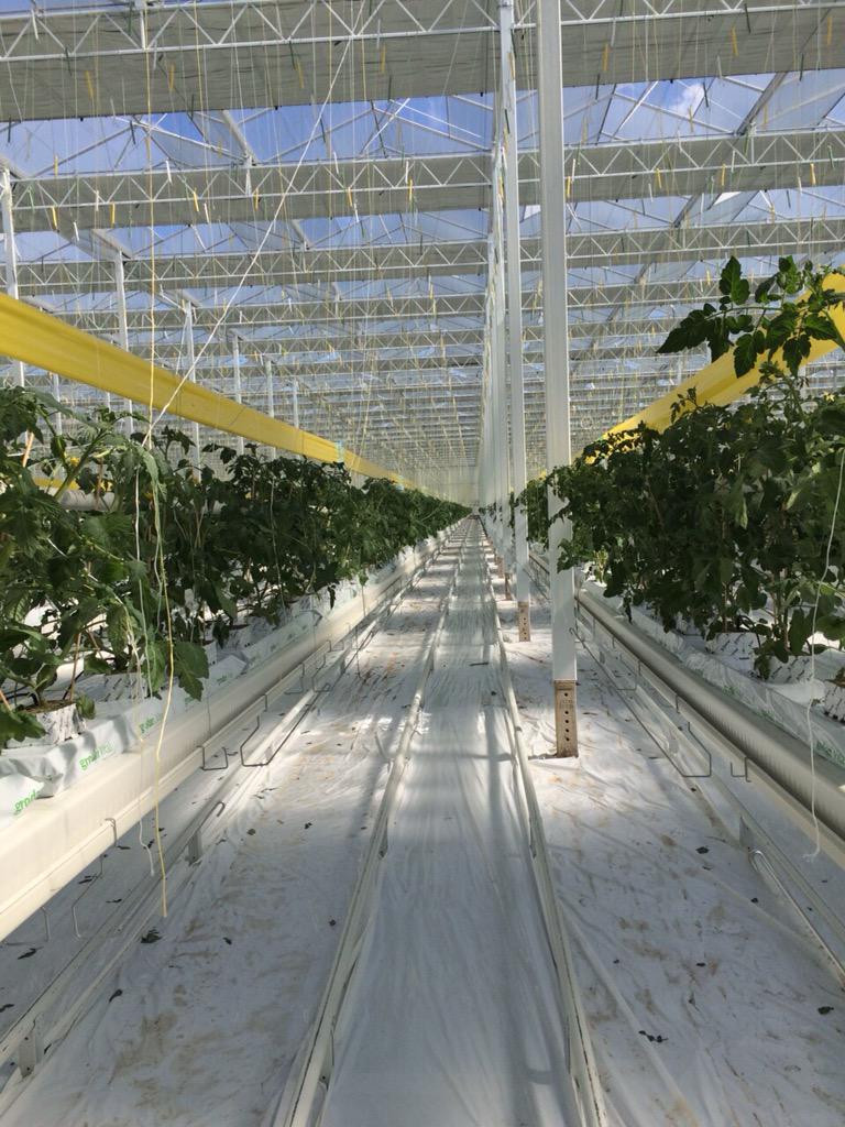 Agro Care tweet media