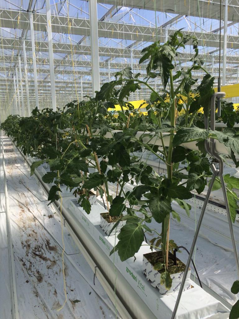 Agro Care tweet media