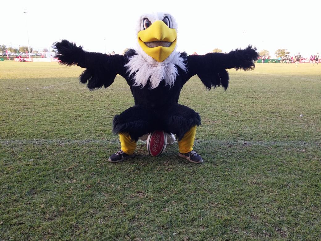 SWD Eagles Rugby tweet media