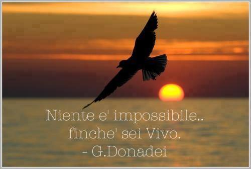 ONGAROSteong tweet picture