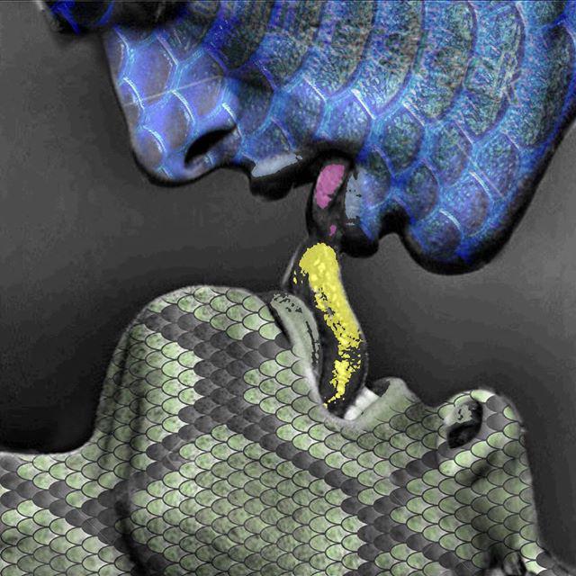 reptiles's tweet photo. #Reptiles: RT @ronaldmcdonkey: #goodmorning #reptiles #kissing #gayboys http://t.co/SzyyUcQhVe