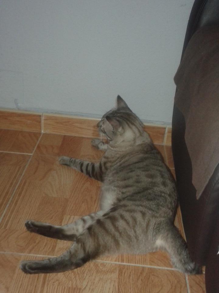 entrepanel's tweet image. Bienvenido