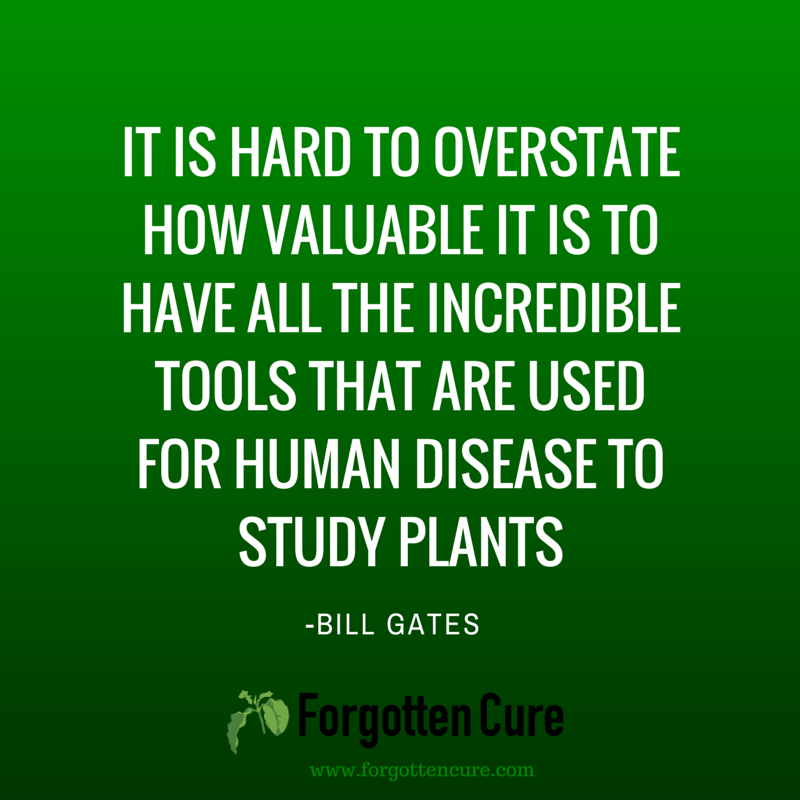 ForgottenCure's tweet photo. #fightcancer #documentary #forgottencure #naturalcures http://t.co/lO3FMO6kMQ