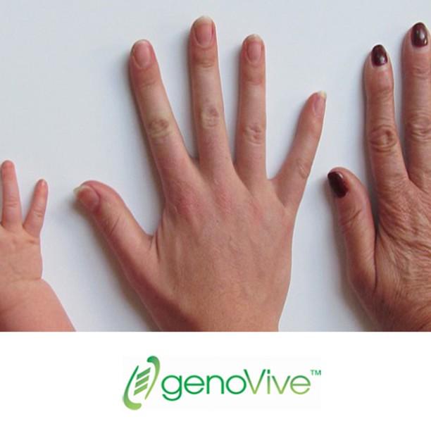 La genética es la ciencia de la herencia. #genovive #adn