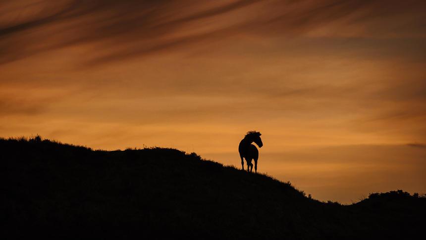 GFH Multimedia tweet media