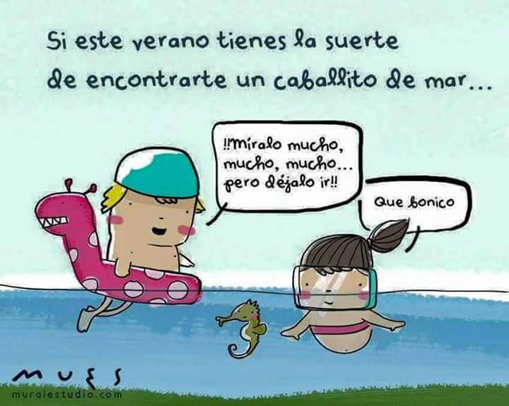 RocioSL11's tweet photo. #LaManga #MarMenor #caballitosdemar #playa http://t.co/uCadjA7udK