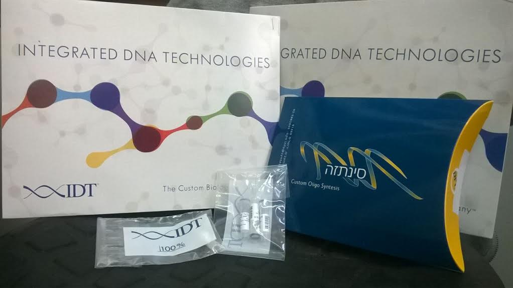 iGEM BGU 2015 (@bgu_igem) on Twitter photo Just received our sequences including specific promotors and gRNAs!! #LetTheGameBegin <a href="/iGEM/">iGEM Headquarters</a> Just received our sequences including specific promotors and gRNAs!! #LetTheGameBegin <a href="/iGEM/">iGEM Headquarters</a>