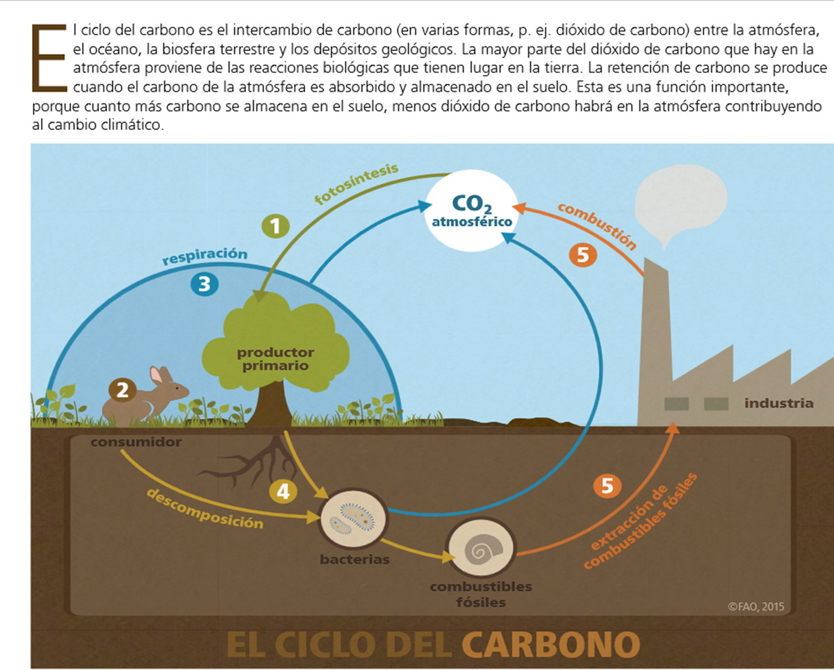 Environment current directory