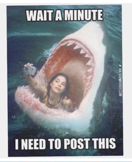 alma_xo's tweet image. Shark Week is backkk. #favoriteweek