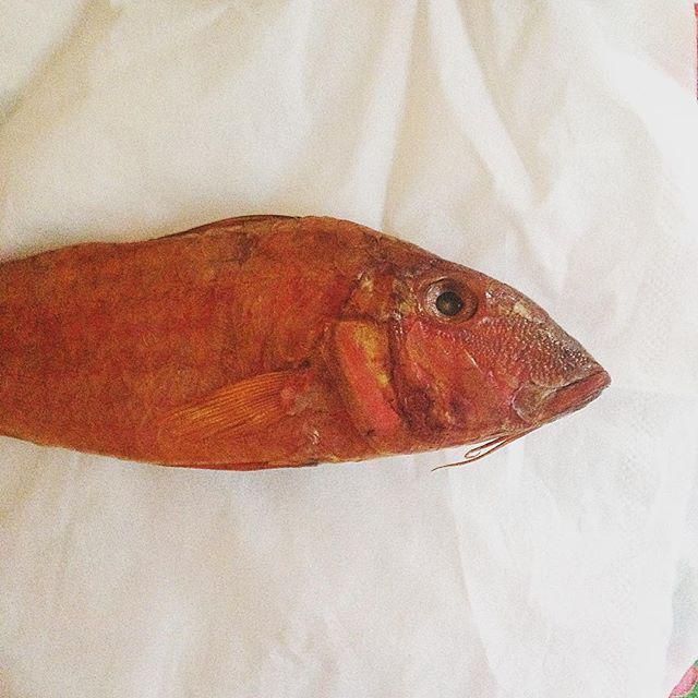 InstaYevpatoria's tweet image. Барабуля...))) #вечер #вечердобрый #полуостров #крым #евпатория #растижопа #барабуля #каникулы #пристрелитеменя #не…