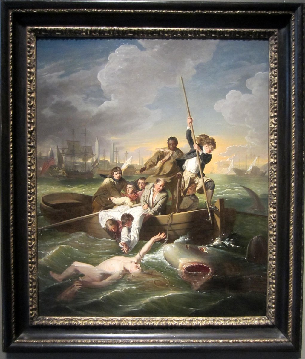 lightsontampa's tweet photo. In celebration of #SharkWeek, here's Copley’s “Watson &amp; The Shark," which shows the rescue of Brook Watson in Havana http://t.co/N1qj6vB4k2