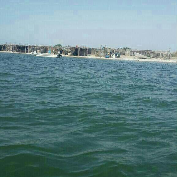 twit5511's tweet photo. جزيرة محوت http://t.co/HmfqwLLvz0