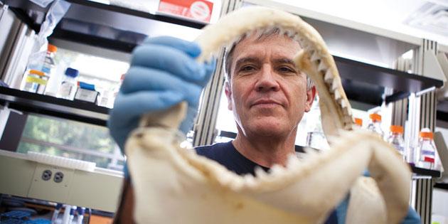 CofC's tweet photo. #CofC Students get paid to do research focusing on topics from sharks to mental illness! http://t.co/OfWNjOtP5a http://t.co/HWgi2Ok1Ex