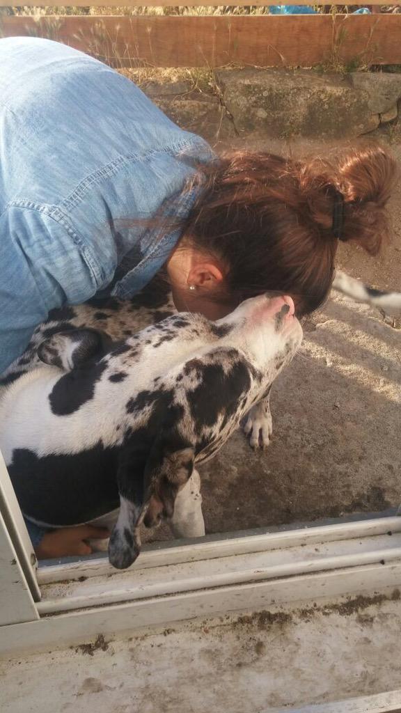 MiriamSandFco's tweet photo. Disfrutando contigo #amiñagordita #cata #😍🐾 http://t.co/Z4Ehex6iSN