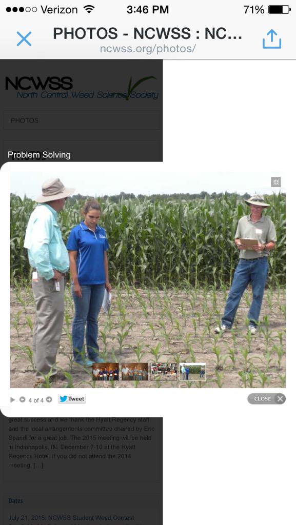 Problem solving in 2014 weed contest