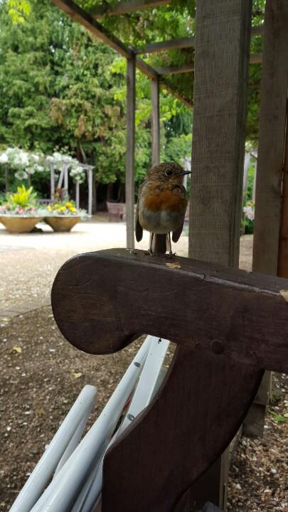 Actually wd die for mealworms, but was patient enough to listen to me for 2 mins 😊 #HenriettaPark @WeLoveBath