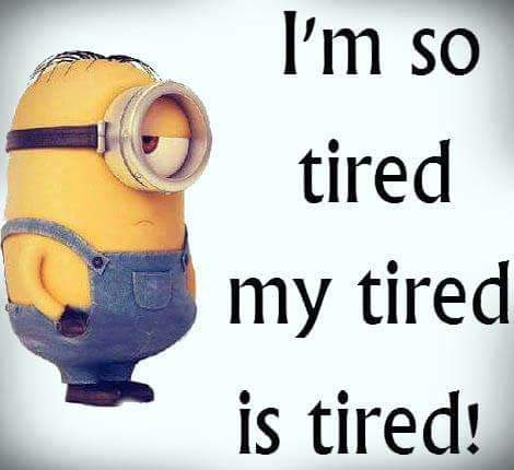 Bieherniopiazen's tweet photo. #quotesword #Minions http://t.co/F0G5XVCh15