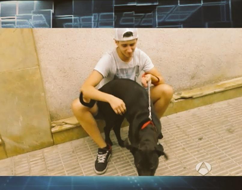 kiwoko's tweet photo. Bonito momento de Ignacio y Flama! Busca adoptante! Anímate! 😊 #JuanyMedioEH en @El_Hormiguero #adopción http://t.co/0qezpbnmgg