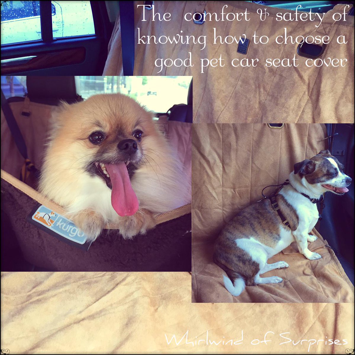 how to choose a dog car seat cover Kurgo stowe hammock review