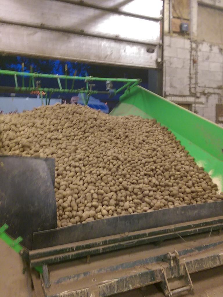 Maausiee's tweet photo. Laatste aardappels van 2014 markiezen voor @volgFarmFrites, http://t.co/5f1Nyc4RbG