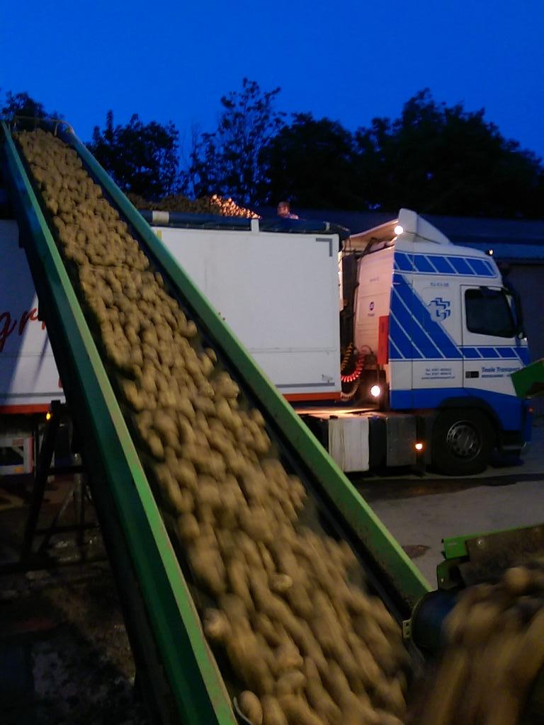 Laatste aardappels van 2014 markiezen voor <a href="/volgFarmFrites/">Farm Frites</a>,