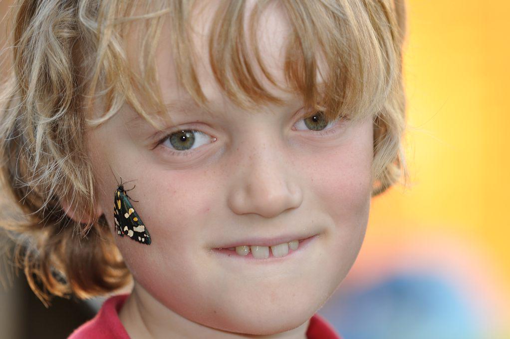 MigrationMatt's tweet photo. Even the kids couldn't escape scarlet tiger #mothageddon last Tuesday. A mass emergence! #teammoth @savebutterflies http://t.co/5GUeFNTeZe