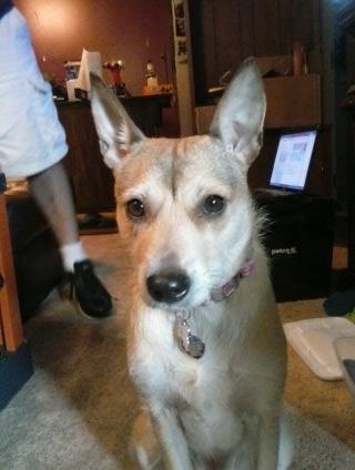 IHart2003's tweet image. awwww