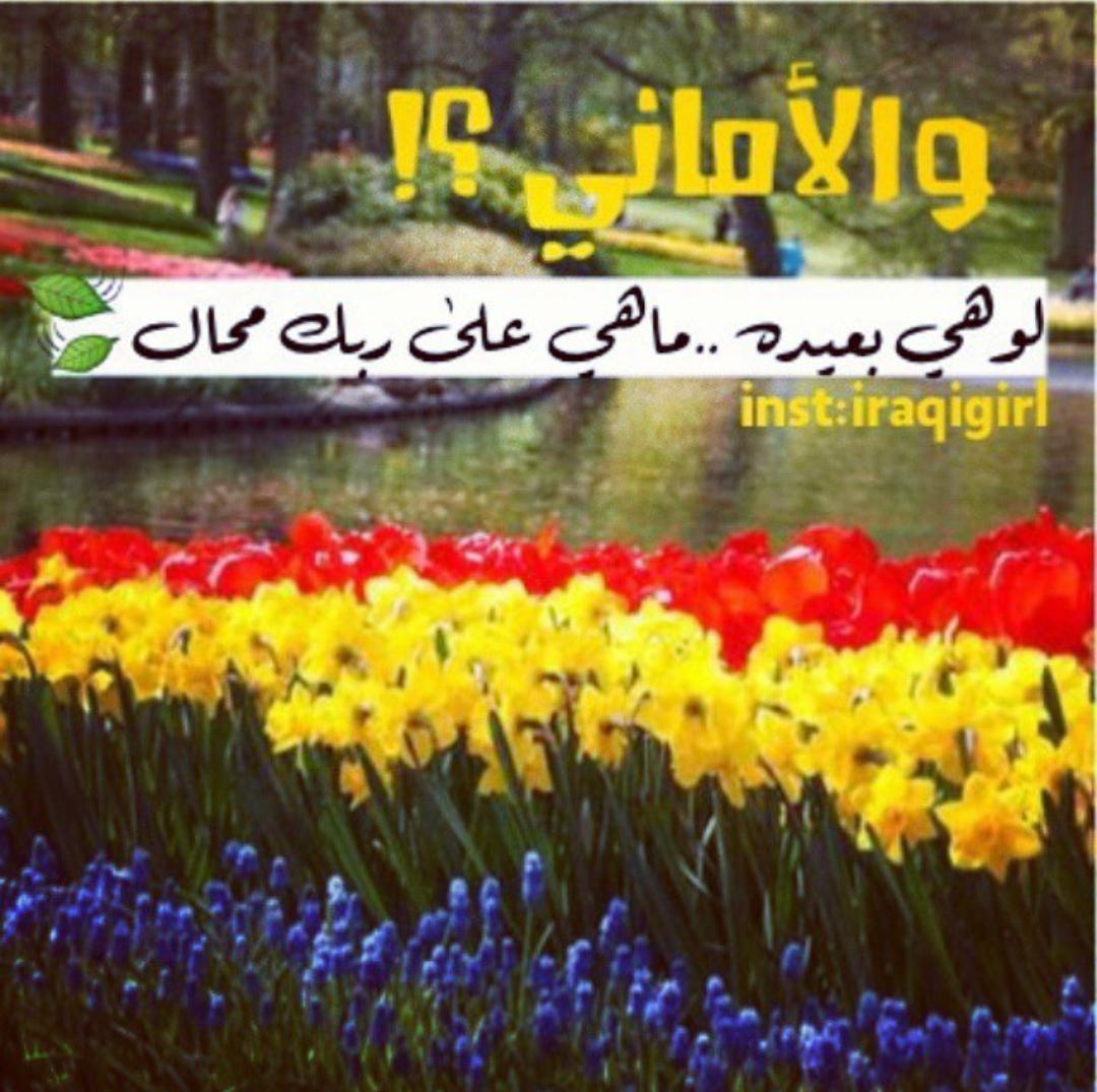 xdtree31 tweet picture